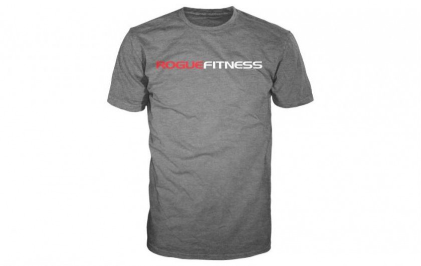 ROGUE STATE SHIRT Gray